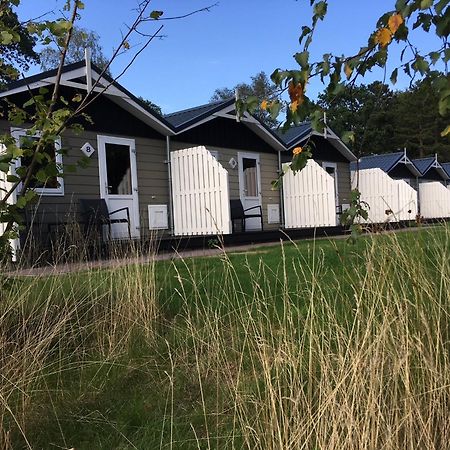 Vakantiepark Witterzomer Assen Exterior photo